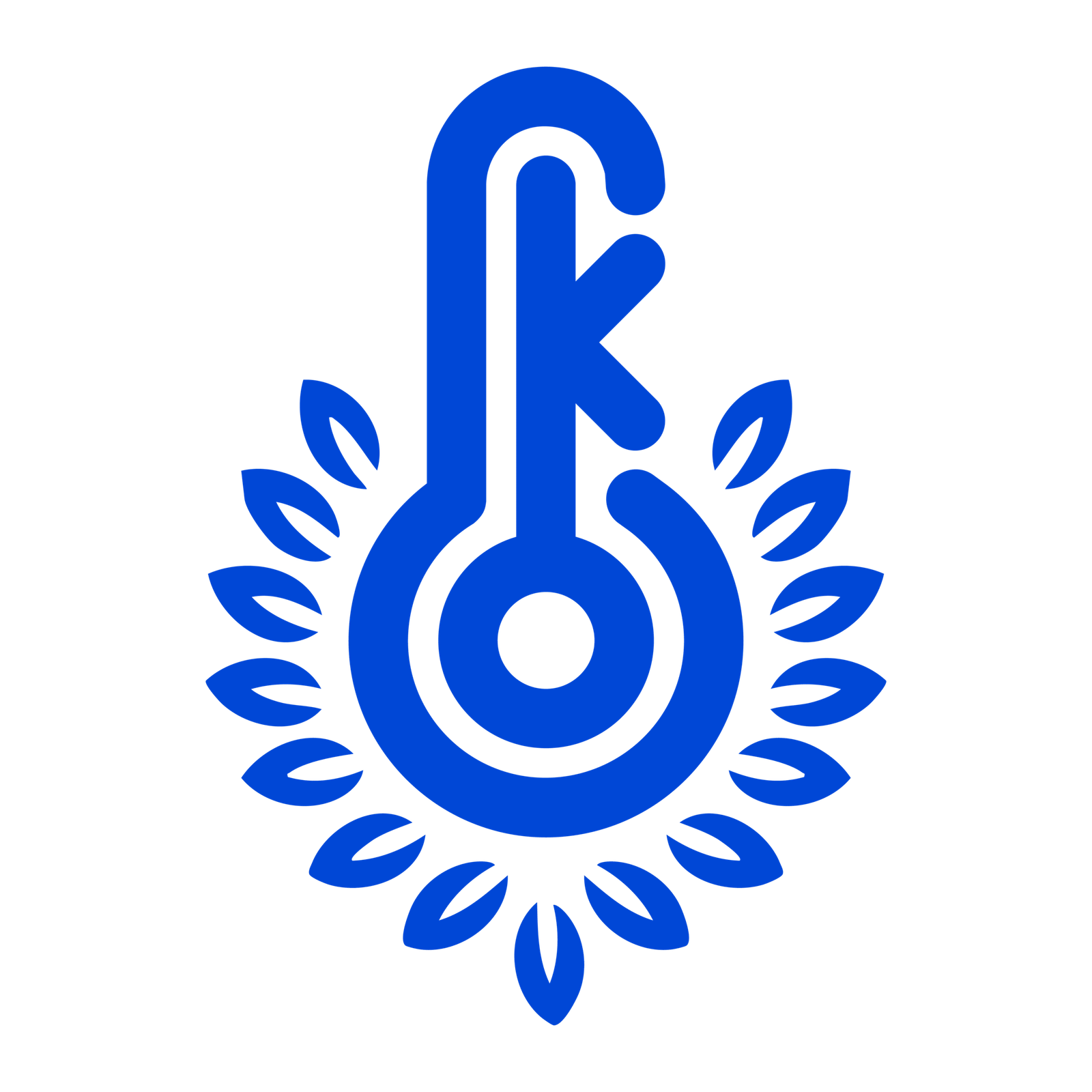 Kasisolusi Executive School